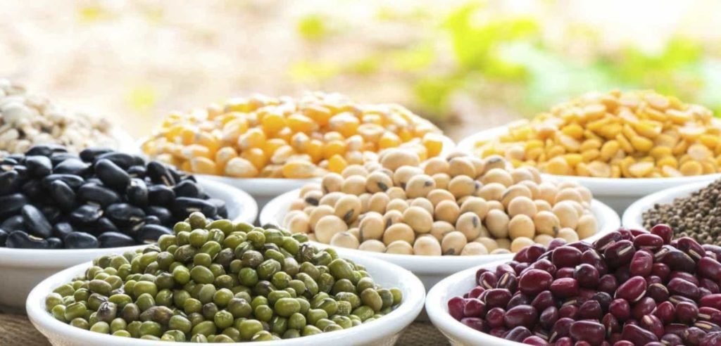 leguminosas-beneficios-saude-dr-daniel-benitti-cirurgiao-vascular-sao-paulo-campinas leguminosas-beneficios-saude-dr-daniel-benitti-cirurgiao-vascular-sao-paulo-campinas