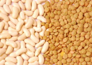 feijao-lentilha-dicas-alimentacao-saudavel-no-frio-dr-daniel-benitti-cirurgiao-vascular